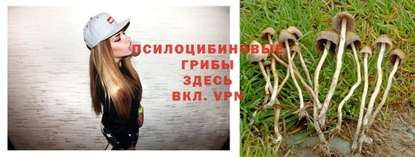 прущая мука Арсеньев