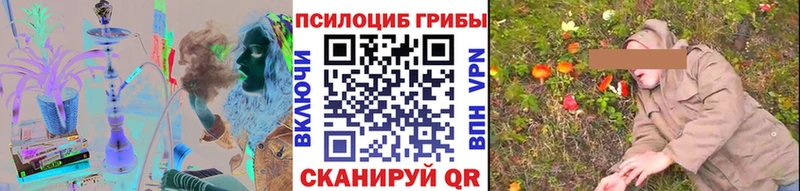 Псилоцибиновые грибы мицелий  Новая Ладога 