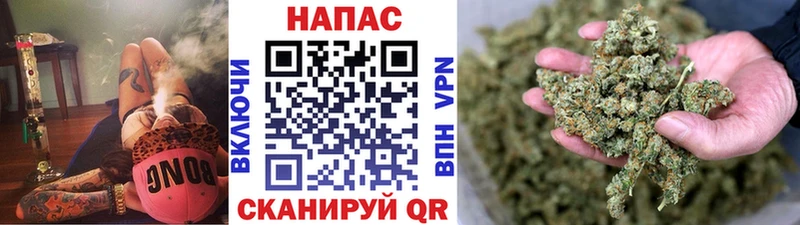 Шишки марихуана SATIVA & INDICA  гидра рабочий сайт  Новая Ладога 